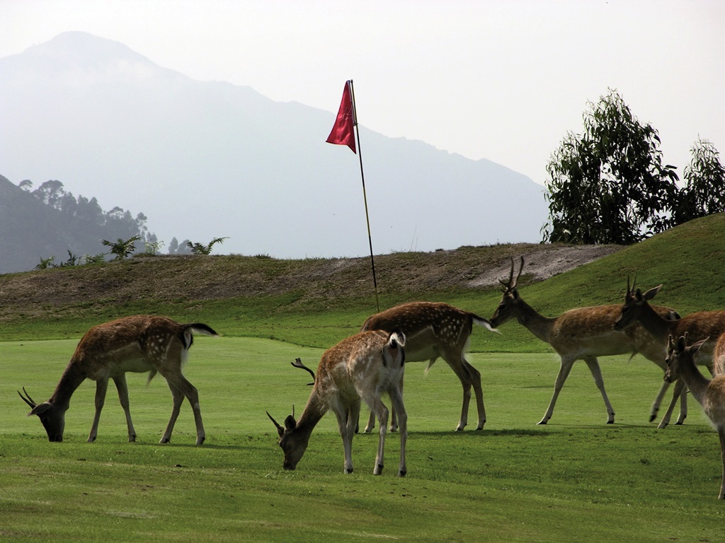 golf in asturias